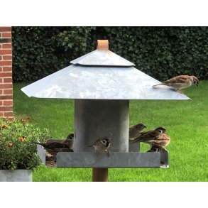 5 gode råd om fodring af fugle