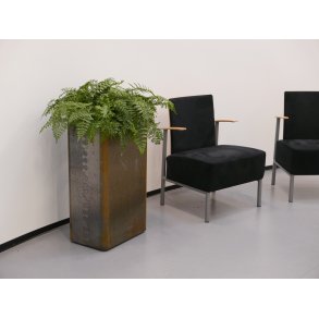 Plantekummer Indendørs