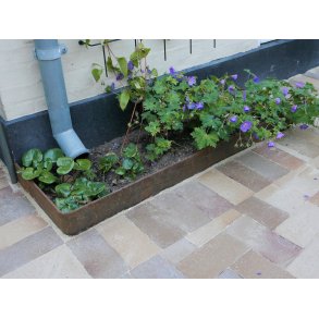 Bedkanter og græskanter